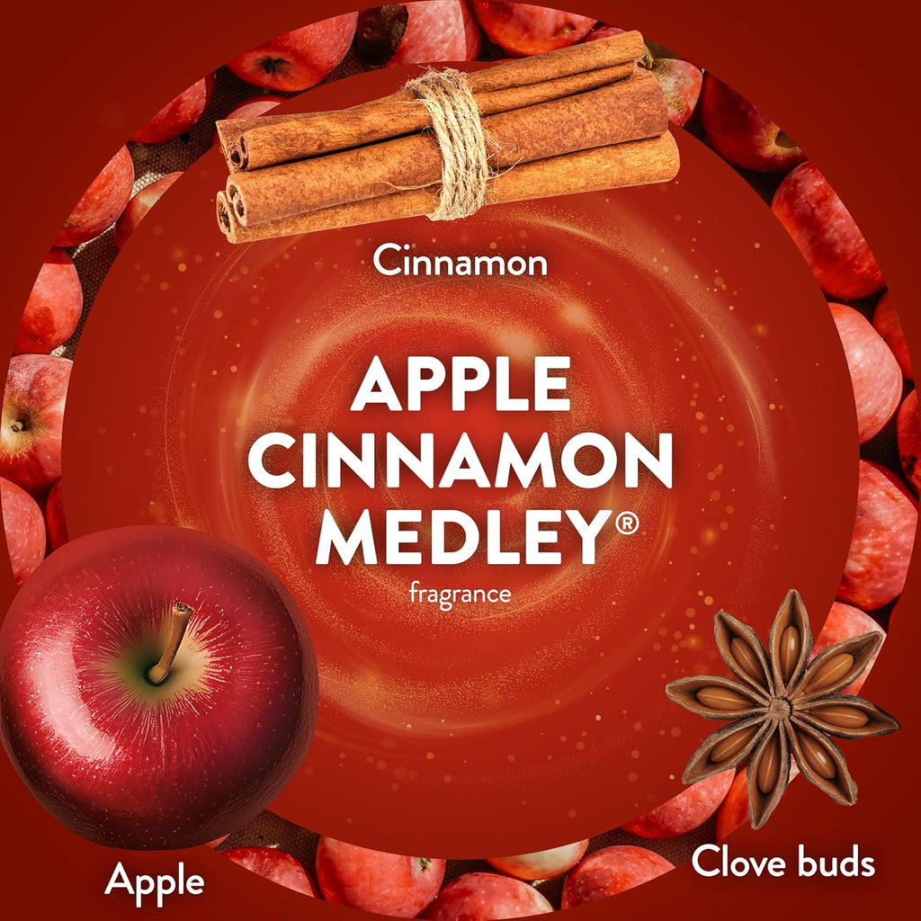 Air Wick Scented Oils 0+10 Apple Cinnamon Medley