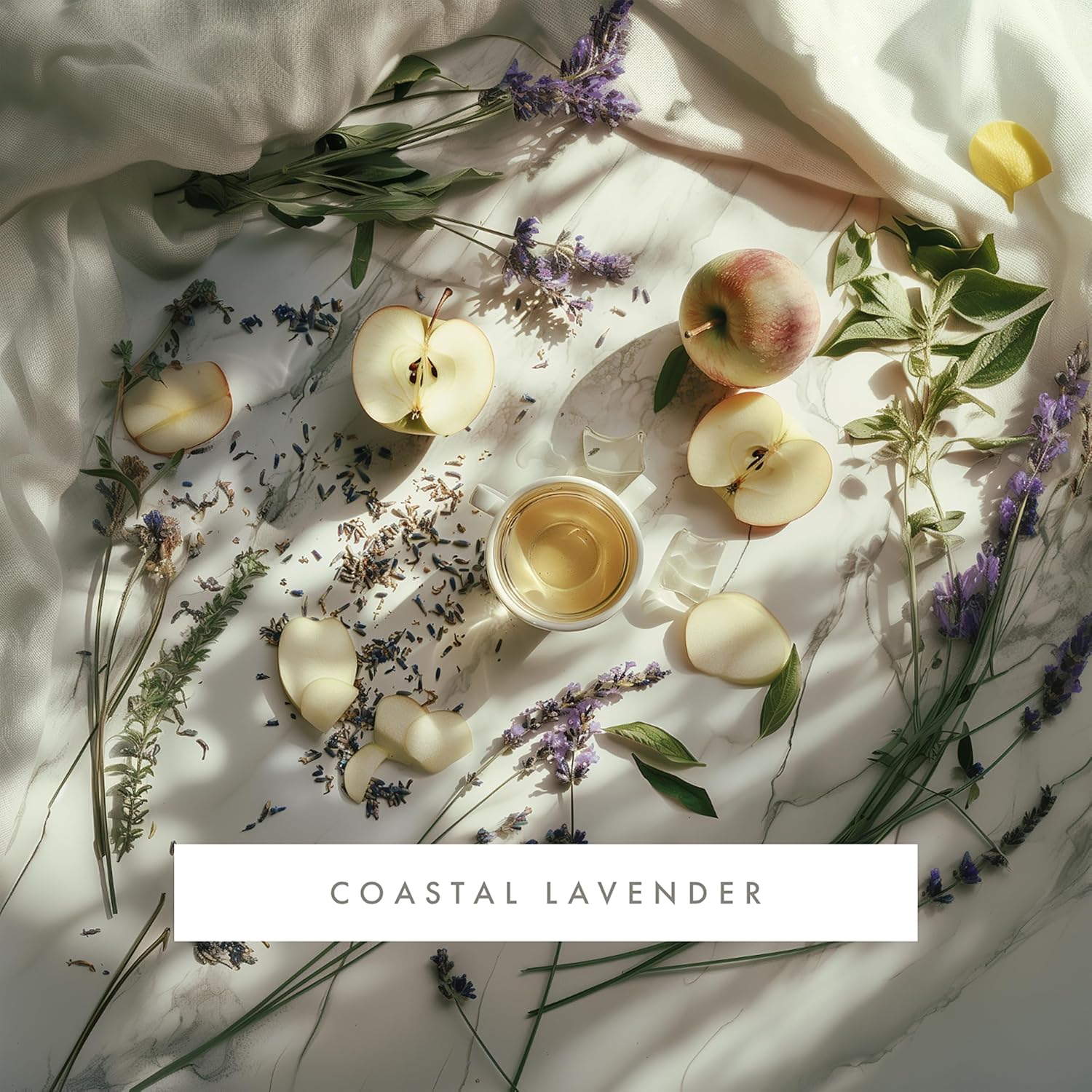 ScentAir Whisper Home Monthly Plug-in Refill, Fragrance Cartridge for Home and Office, Coastal Lavender Pet Calming