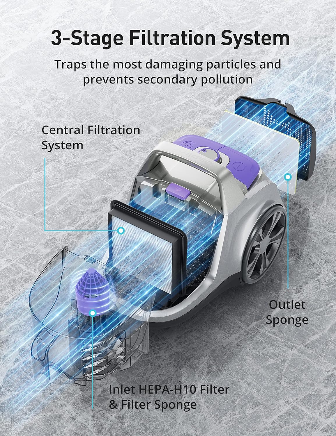 Aspiron Canister Vacuum, Upgraded 1600W Bagless Canister Vacuum Cleaner, Auto Cord Rewind, H13 HEPA Filter, 3.7Qt Large Capacity, 5 Tools for Hard Floors, Carpet, Pet, Upholstery, Tiles, Car, Lavender
