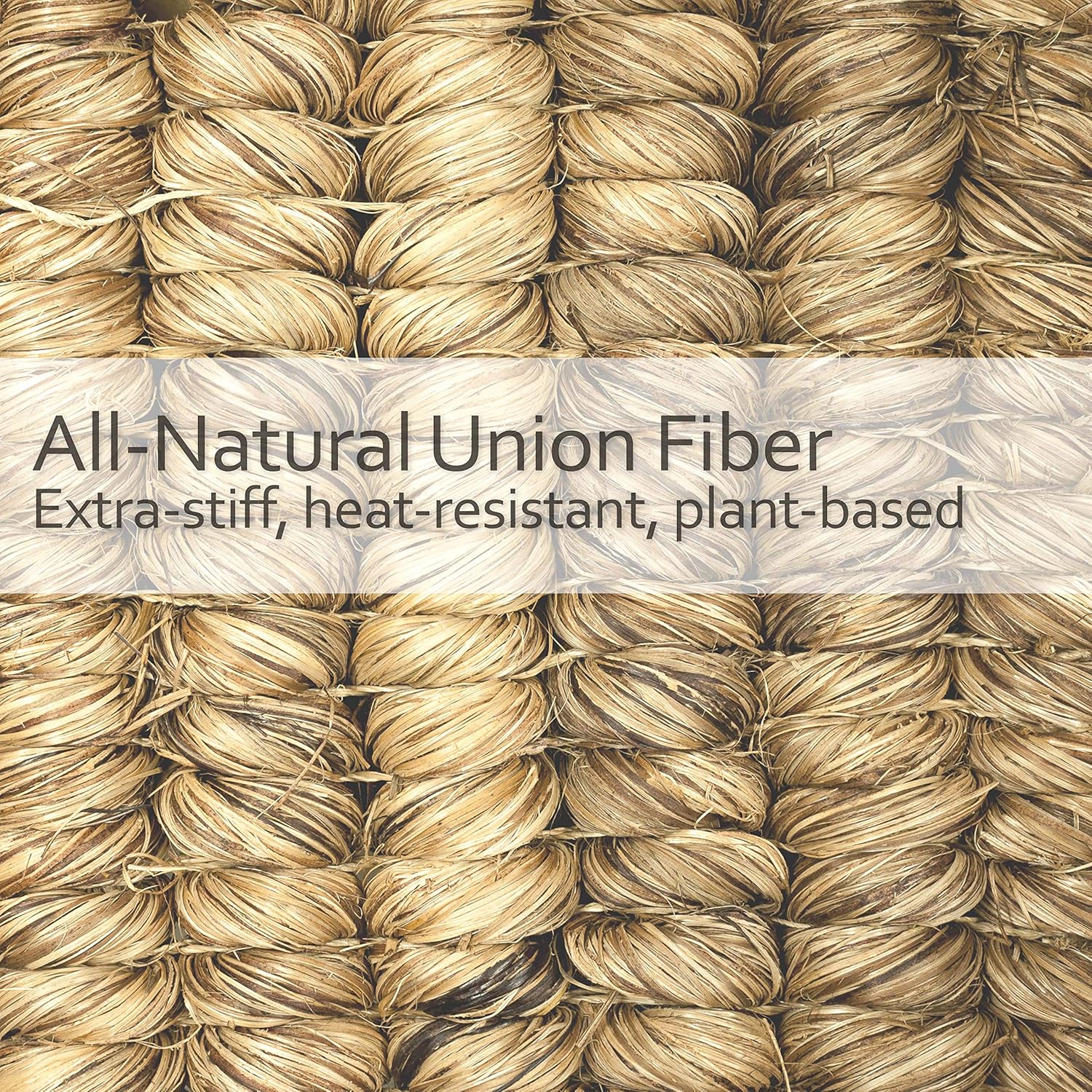 REDECKER Oyster Scrub Brush with Union Fiber Bristles and Untreated Beechwood Handle, 4-3/4-Inches